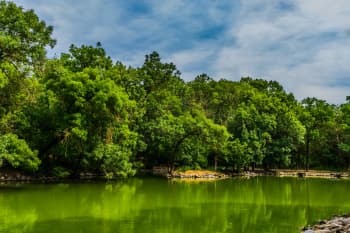 a body of water surrounded by trees and rocks